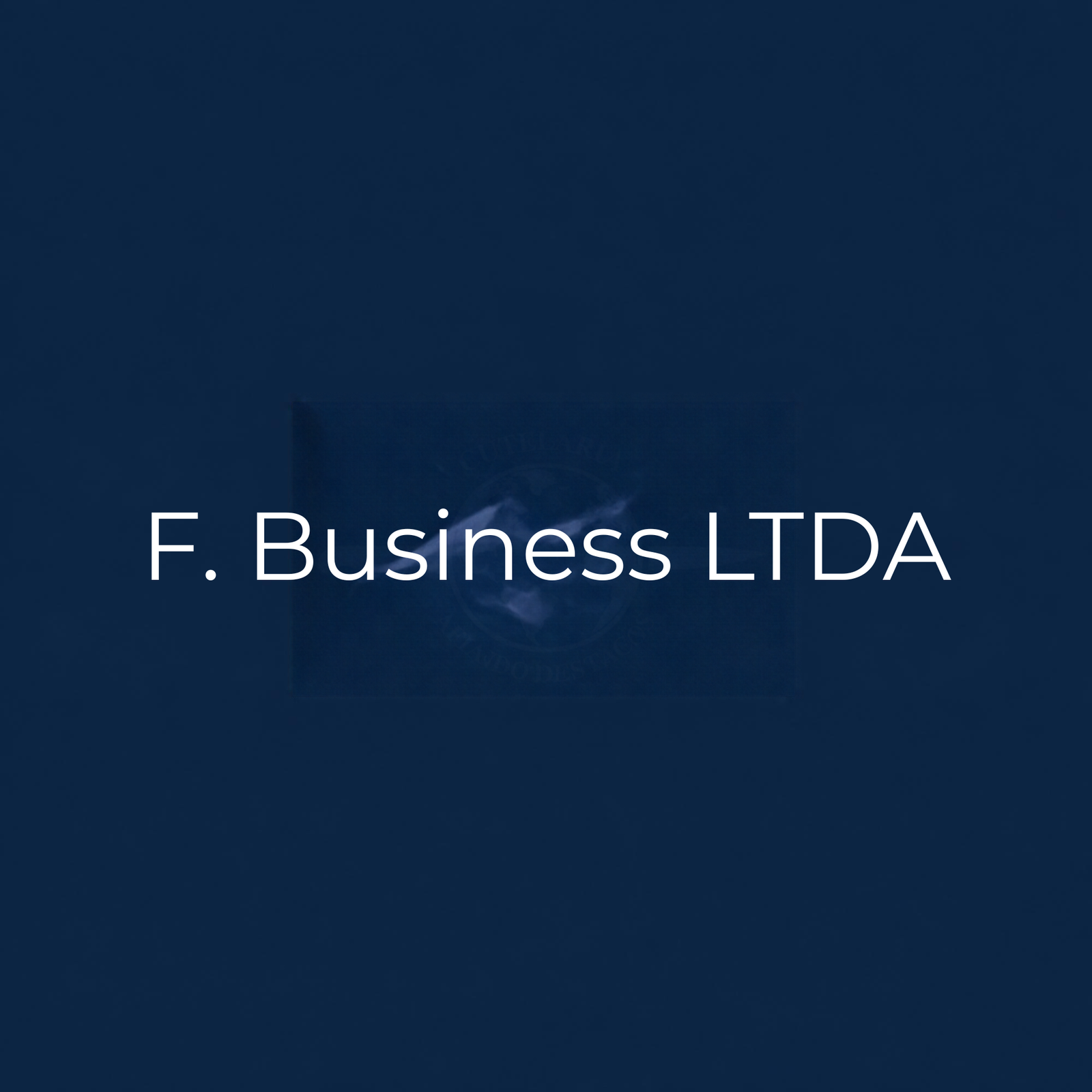 F. BUSINESS LTDA