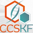 CCSKF Informática Ltda