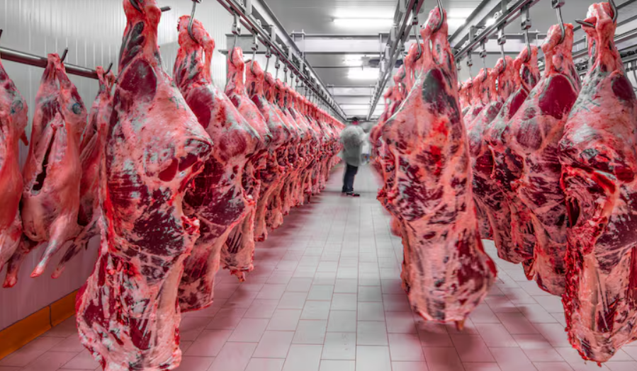 Capa: Acordo Mercosul–União Europeia abre grandes oportunidades para o Paraguai