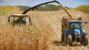 Capa: Tecnologia impulsiona a agricultura familiar no Paraguai