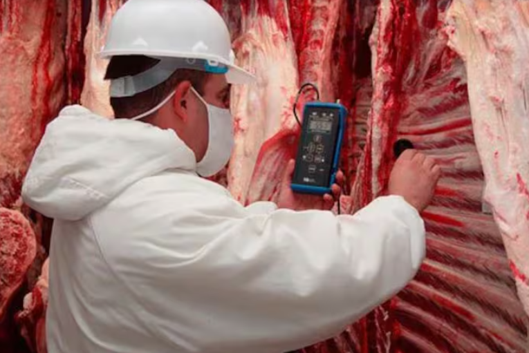 Capa: Setor supermercadista avalia expansão da importação de carne em 2026