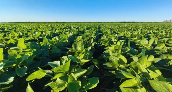 Capa: Fortalecimento do guarani reflete confiança na economia paraguaia