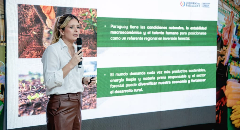 Capa: INFONA apresenta a primeira Política Florestal Nacional do Paraguai
